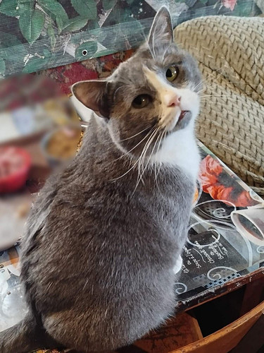 G 2 ncrXMAAO Wo?format=jpg.jpg