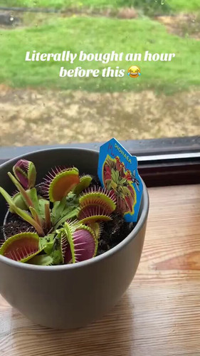 94a PakMuV0EG6S3.jpg