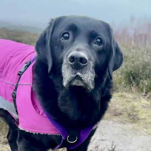 G yNR70bUAAnRr6?format=jpg.jpg