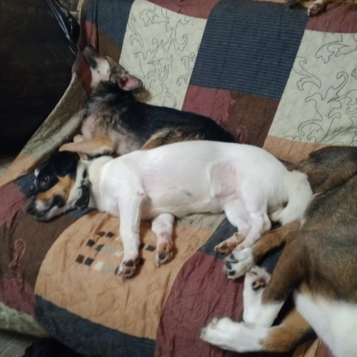 G zYAdHWAAATRNQ?format=jpg.jpg