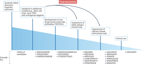 G zDlT XcAAqDrk?format=png.png