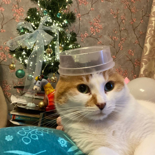 G 2q4flXAAEZbm3?format=jpg.jpg