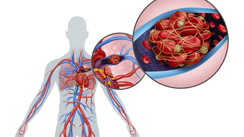 G 3FGhbXIAAiUzA?format=png.png