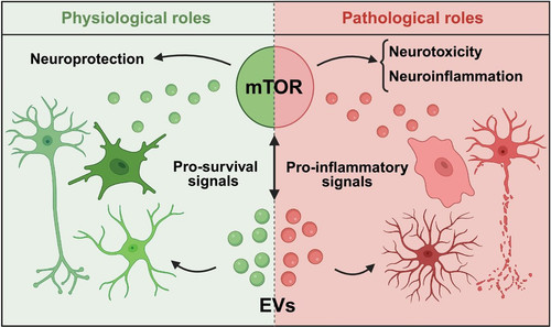 G4BY8CfXQAALC9 ?format=jpg.jpg