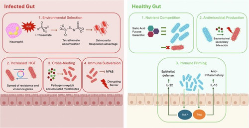 G qo9T6bQAYBRJS?format=jpg.jpg