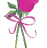 Rose Gif Resimler V160120260257 N 21