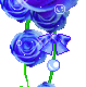 Rose Gif Resimler V160120260257 N 27