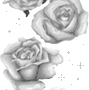 Rose Gif Resimler V160120260257 N 7