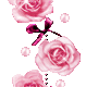 Rose Gif Resimler V160120260257 N 8