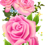 Rose Gif Resimler V160120260257 N 18