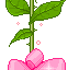 Rose Gif Resimler V160120260257 N 9
