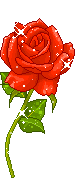 Rose Gif Resimler V160120260257 N 10.gif