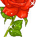 Rose Gif Resimler V160120260257 N 10