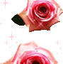 Rose Gif Resimler V160120260257 N 26