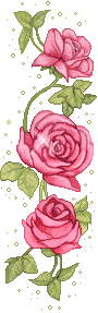Rose Gif Resimler V160120260257 N 2.gif