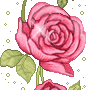 Rose Gif Resimler V160120260257 N 2