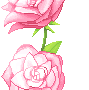 Rose Gif Resimler V160120260257 N 19