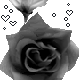 Rose Gif Resimler V160120260257 N 16