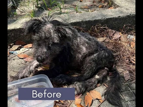 2Wz31eXi DG8MoEq.jpg