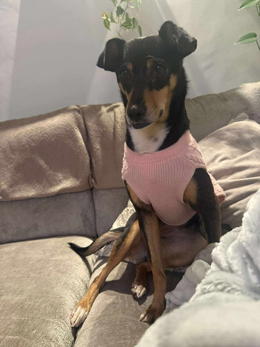 G UKRUxXMAADkIq?format=jpg.jpg