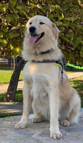 G yr17vaYAAU9VY?format=jpg.jpg