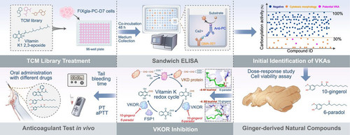 G tPLzUbwAARAZZ?format=jpg.jpg