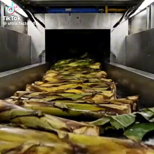 lcqSuH7cCV x2oZN.jpg