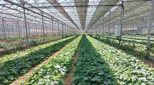 G xke wbYAEPO6Y?format=jpg.jpg