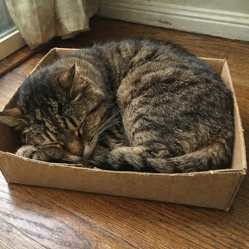 616436108 122094950931226029 7437004839700653505 n.jpg