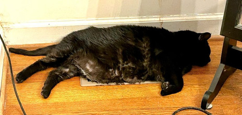 G9hrK6mbMAAWq6 ?format=jpg.jpg