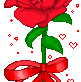 Rose Gif Resimler V160120260257 N 30