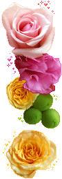Rose Gif Resimler V160120260257 N 31.gif