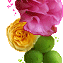 Rose Gif Resimler V160120260257 N 31