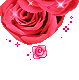 Rose Gif Resimler V160120260257 N 62
