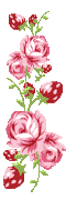 Rose Gif Resimler V160120260257 N 54.gif