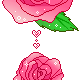 Rose Gif Resimler V160120260257 N 55