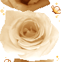 Rose Gif Resimler V160120260257 N 49