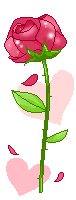 Rose Gif Resimler V160120260257 N 46.gif