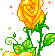 Rose Gif Resimler V160120260257 N 32