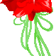 Rose Gif Resimler V160120260257 N 47