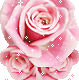 Rose Gif Resimler V160120260257 N 60