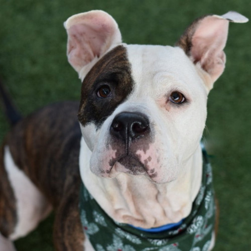 G RUZ01asAIk0DO?format=jpg.jpg