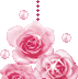 Rose Gif Resimler V160120260257 N 65