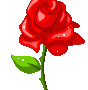 Rose Gif Resimler V160120260257 N 66