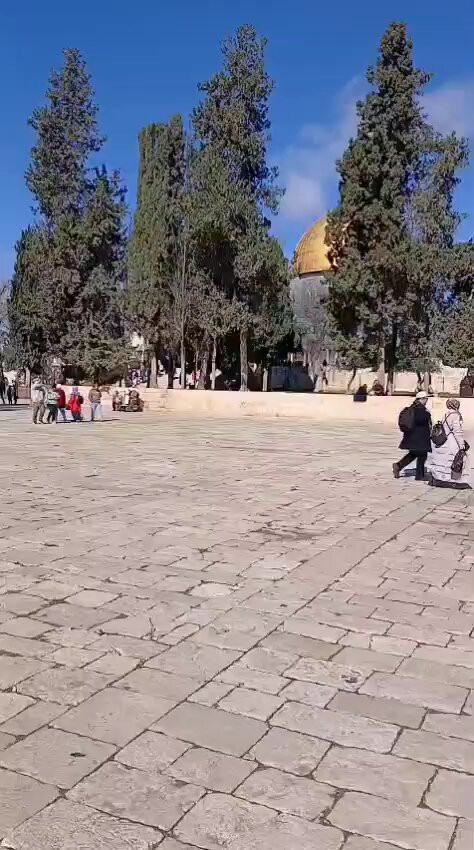 IaanHNLmrdjHSIp .jpg