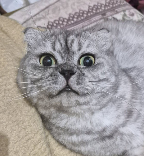 G zgR3 XoAMaYte?format=jpg.jpg