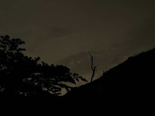 quality restoration 20260117151219199.jpg