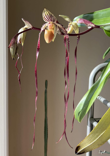 G xOxC0bQAE4dhD?format=jpg.jpg