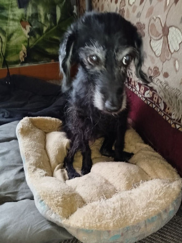 G xojT XgAAEU7F?format=jpg.jpg