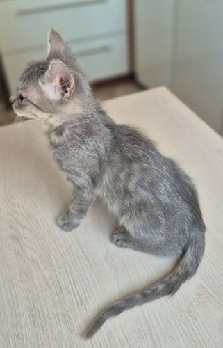 G yB2qsaMAAhwN8?format=jpg.jpg